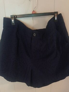 Womens Size 20 torrid  Shorts